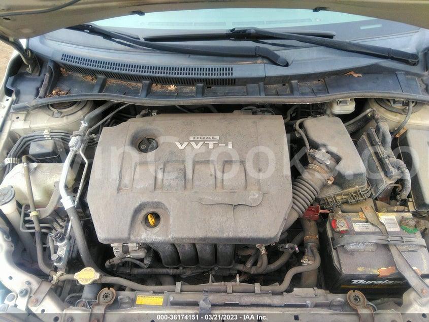 2T1BU4EEXAC253729